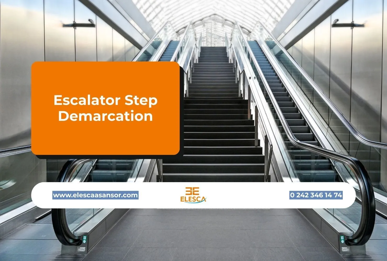 Escalator Step Demarcation
